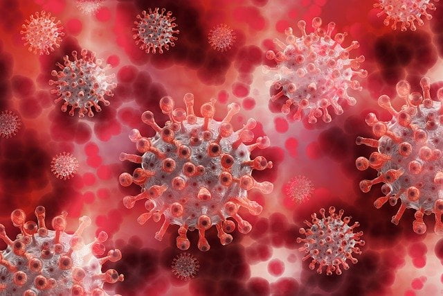 Koronavirus, foto: pixabay.com / ilustracija